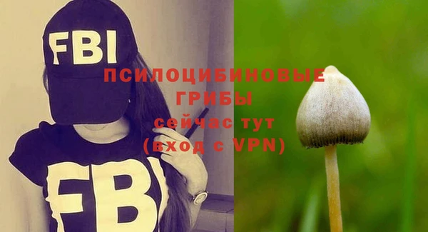 MESCALINE Зеленокумск