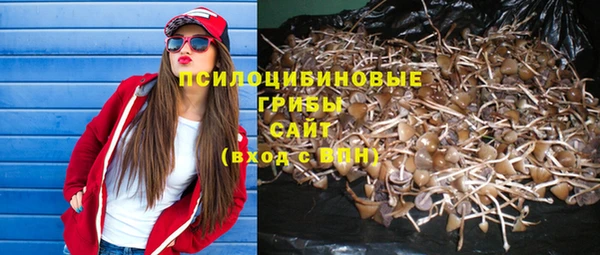 2c-b Зеленодольск
