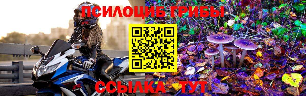 Галлюциногенные грибы мухоморы  Вход с VPN  Псилоцибиновые грибы Magic Shrooms  Канск 