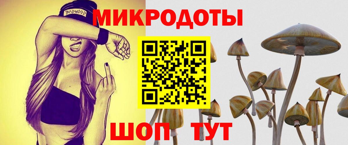 Псилоцибиновые грибы Cubensis Канск